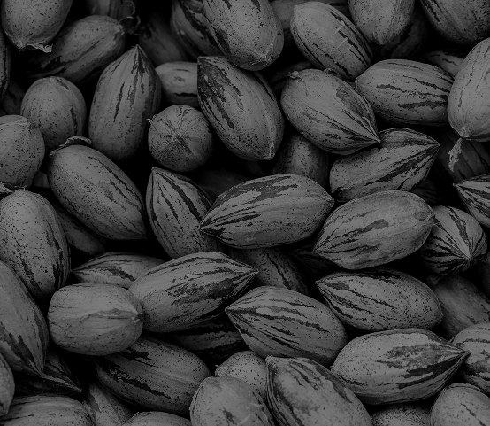 Arlettaz - Frutos secos